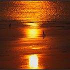 Strand im Sonnenuntergang
