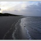 Strand im Winter