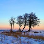 Strand im Winter