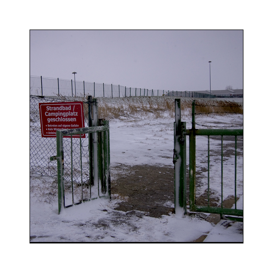 Strand im Winter I