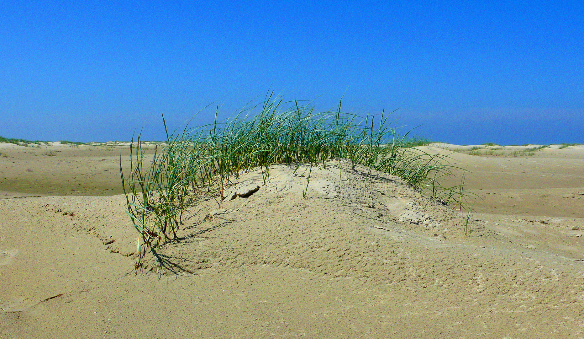 Strand-Impression