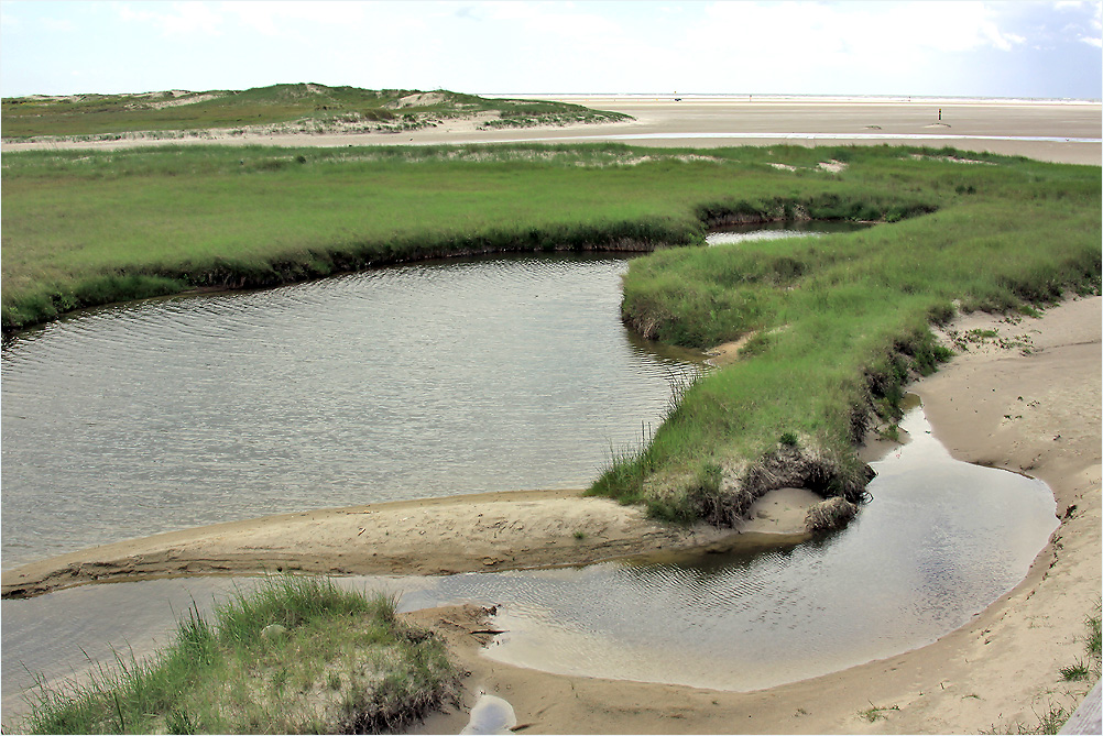 Strand - Impression