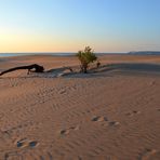 Strand Impressionen...