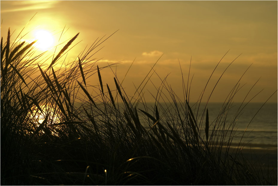 Strand-Impressionen (4)