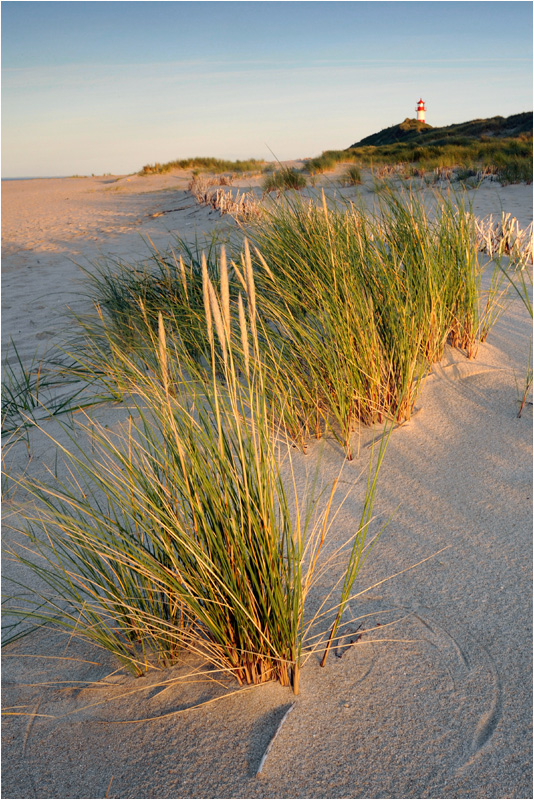 Strand-Impressionen -43-