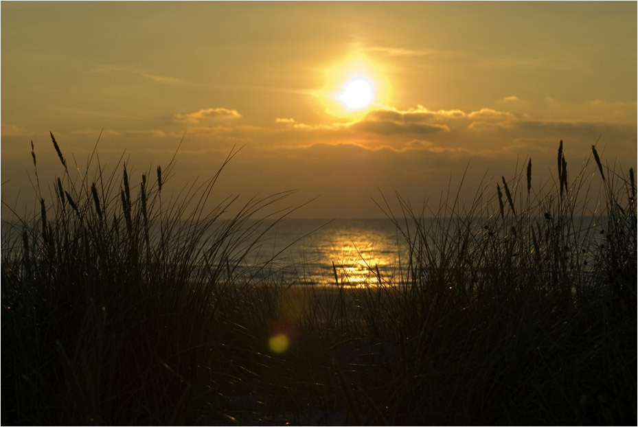 Strand-Impressionen (6)