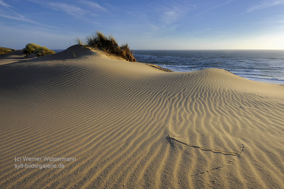 Strand-Impressionen -82-