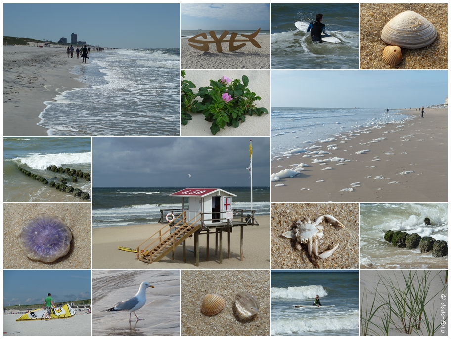 ~~ Strand-Impressionen ~~