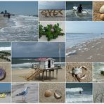 ~~ Strand-Impressionen ~~