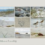 Strand-Impressionen