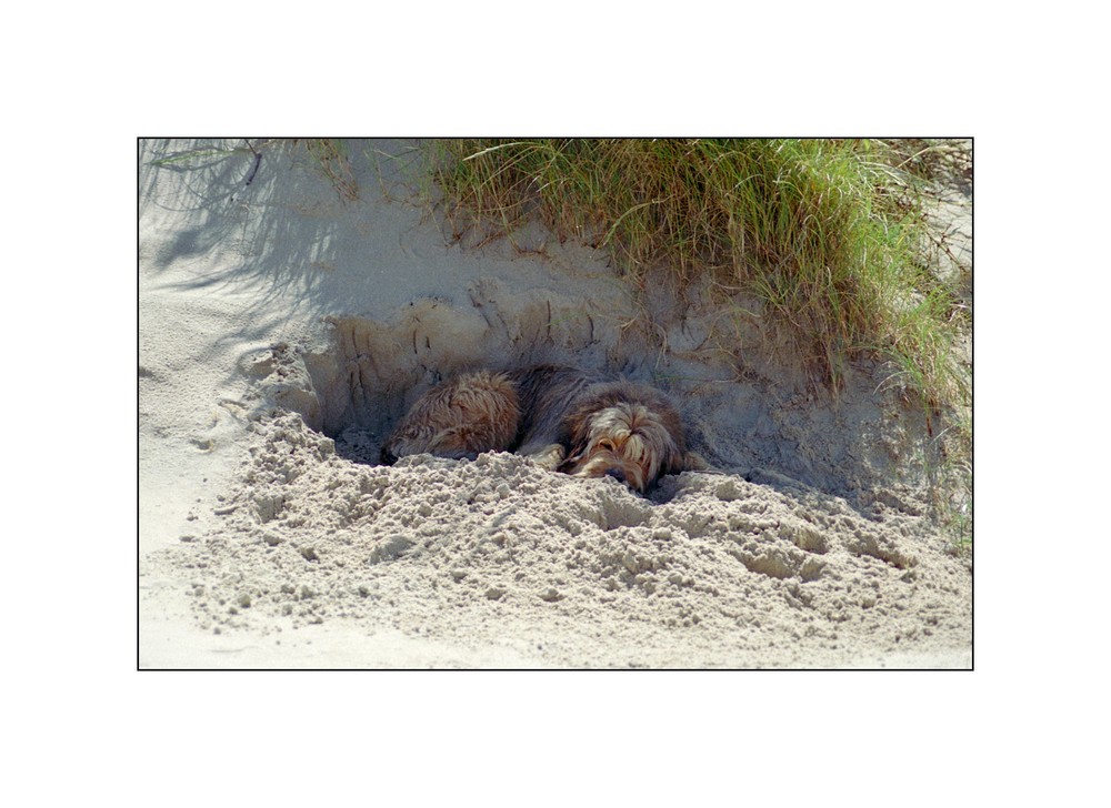 Strand-Impressionen II