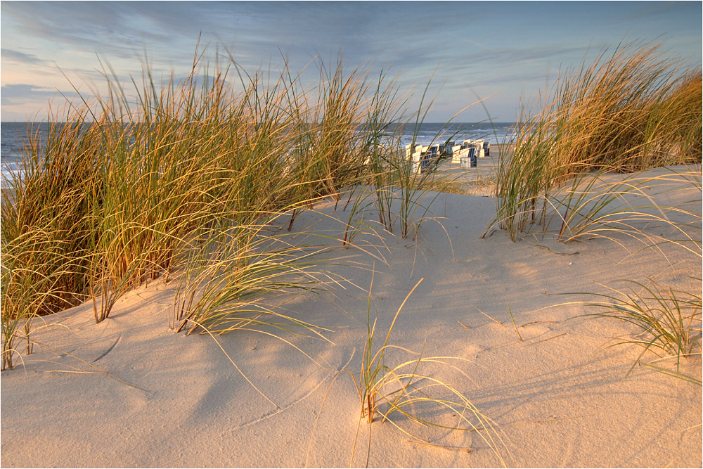 Strand-Impressionen XIX