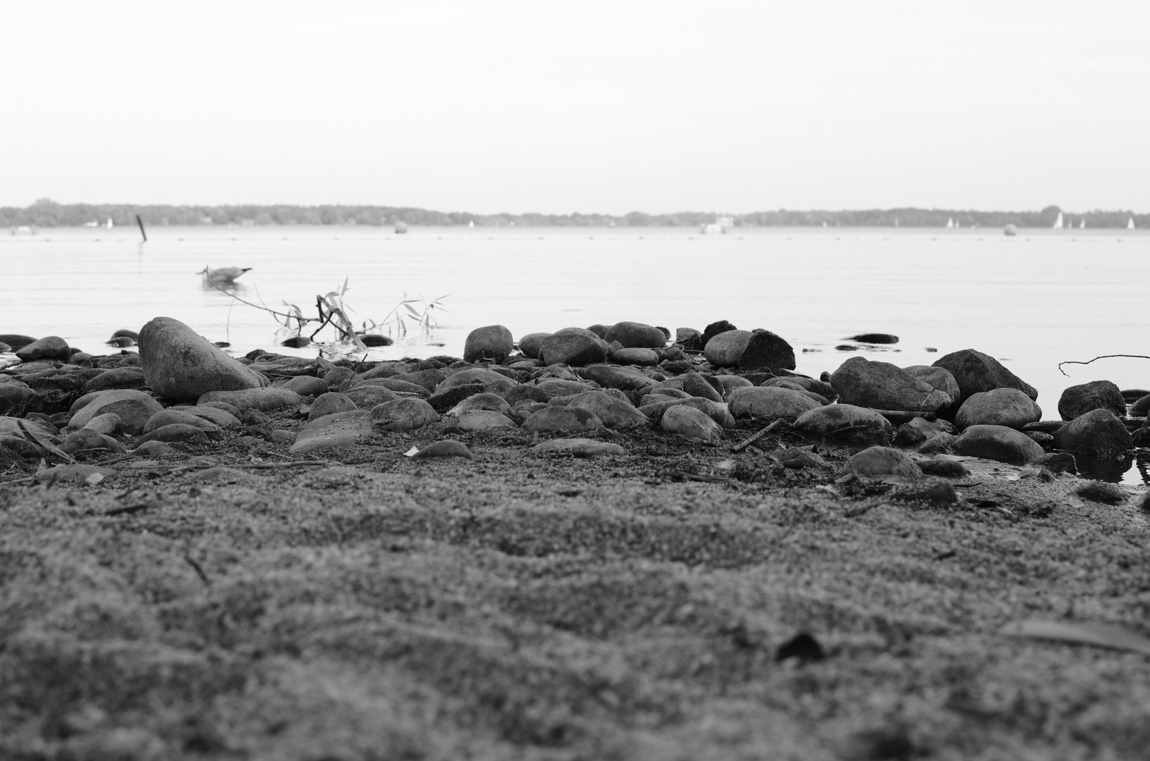 Strand in Bad Zwischenahn