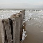 Strand in Cadzand-Bad