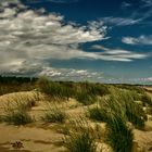 Strand in Cavallino