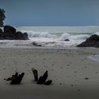 Strand in Costa Rica