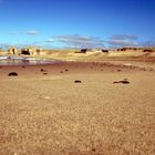 Strand in Dänemark aus Insekten Perspektive