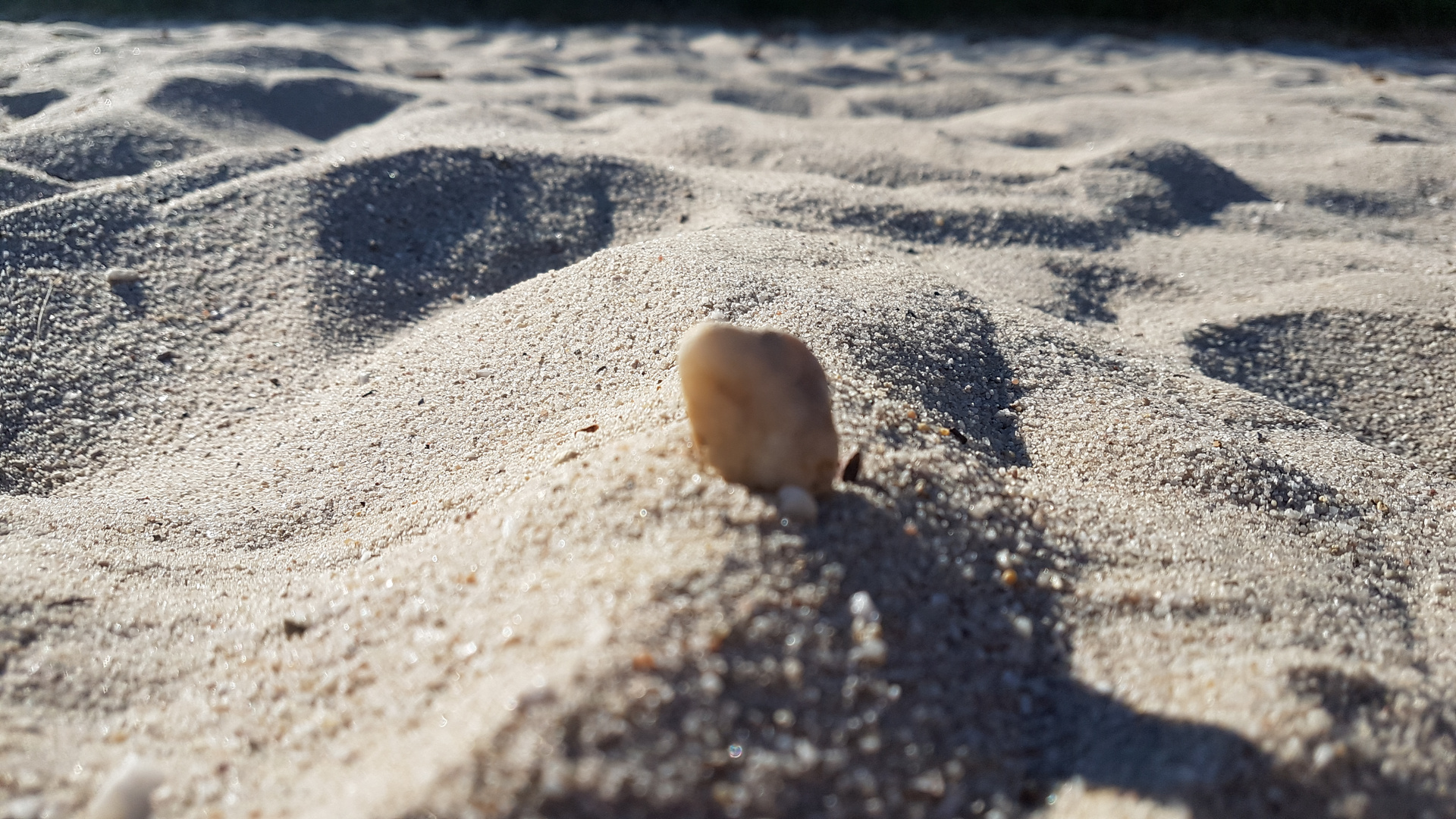 Strand in der Großaufnahmen