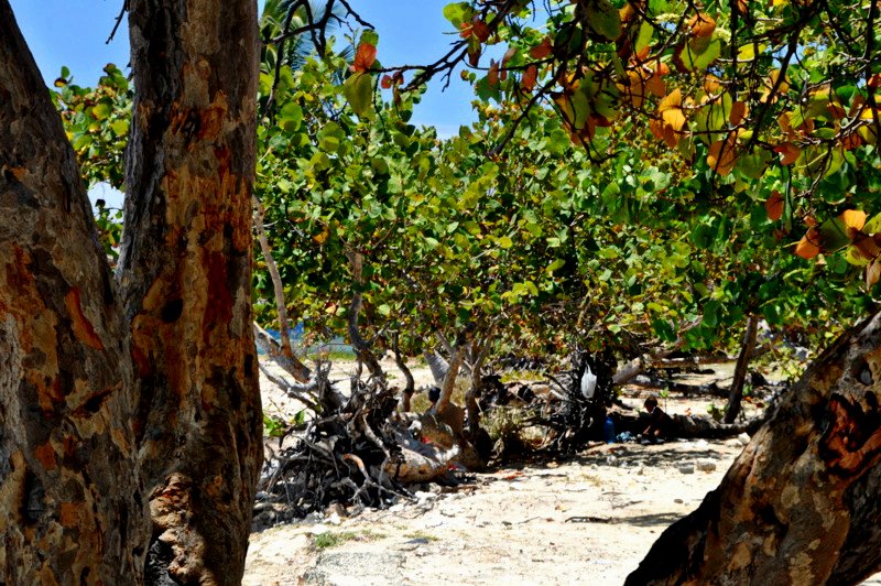 Strand in der Nähe Santiago de Cubas