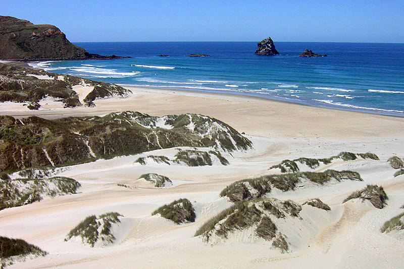 Strand in der Nähe von Dunedin