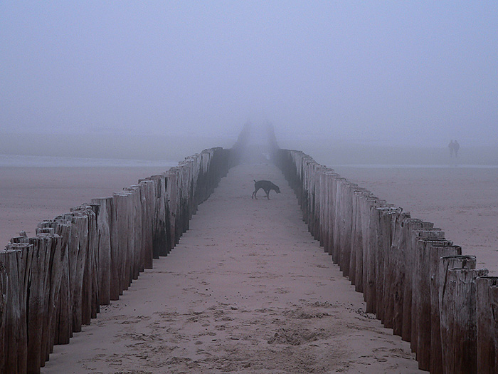 Strand in Domburg