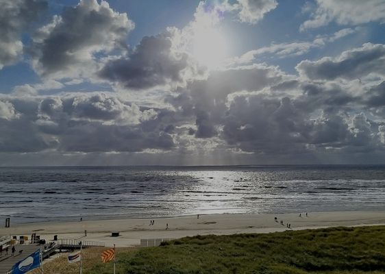 Strand in EGMONT / NL