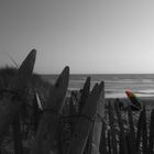 Strand in Frankreich