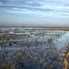 Strand in Friedrichskoog