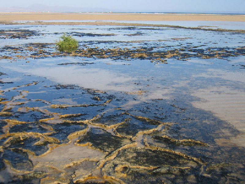 Strand in Fuerteventura