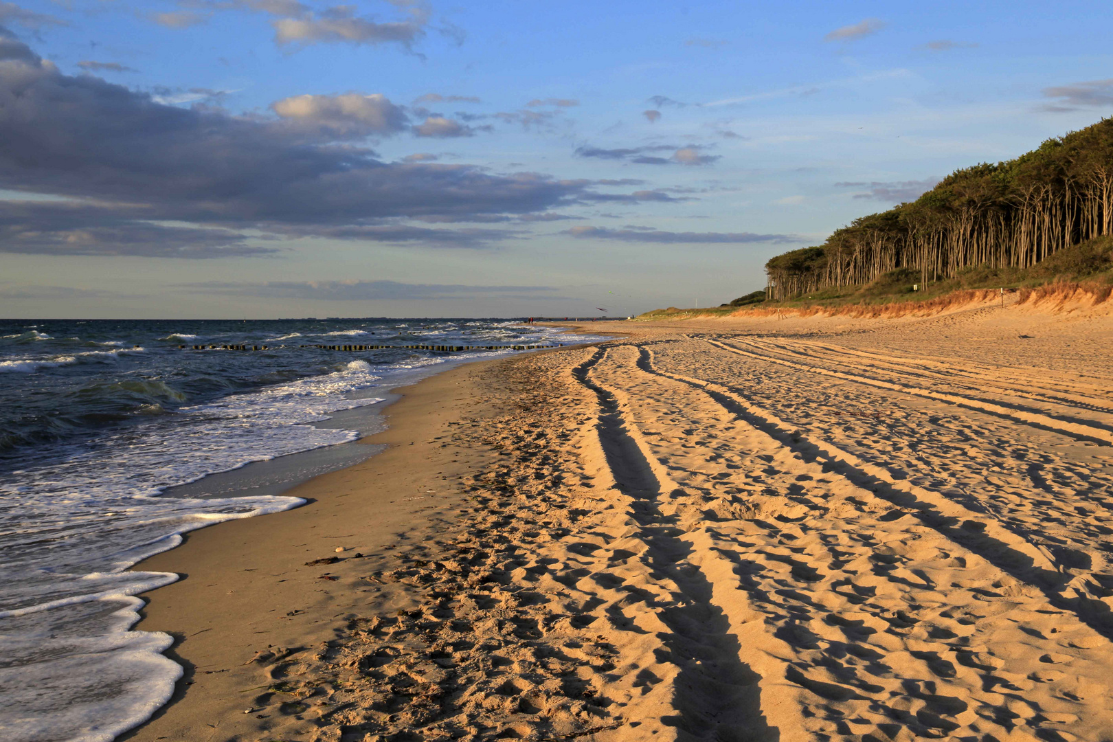 Strand in Graal-Müritz 2019 (18)