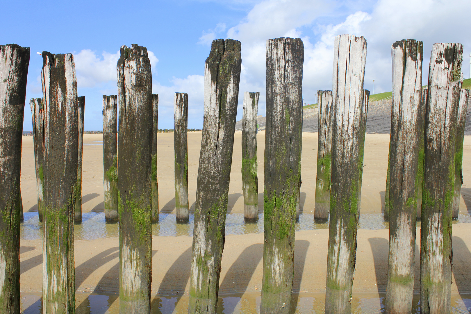 Strand in Holland