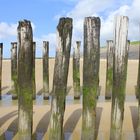 Strand in Holland