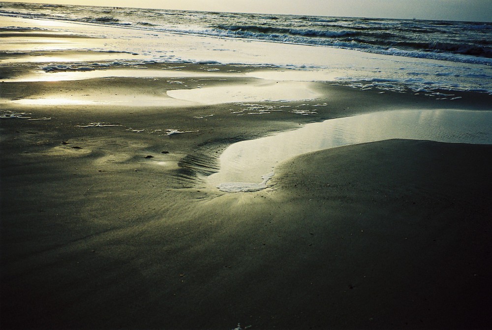 Strand in Holland ( Domburg )