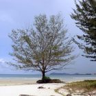 Strand in Kota Kinabalu