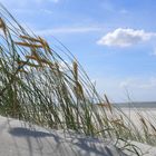 Strand in Langeoog