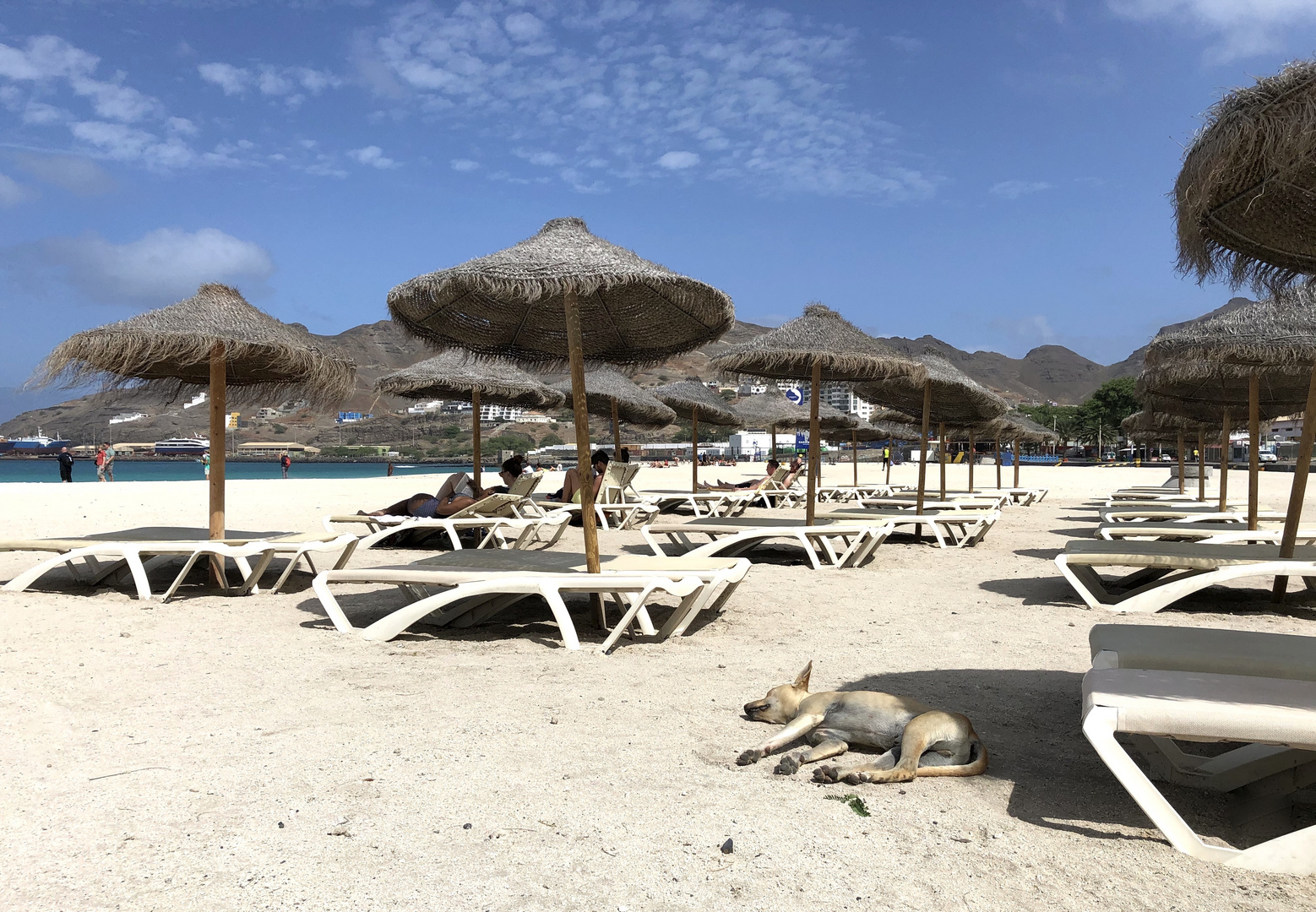 Strand in Mindelo mit Hund, Kap Verde