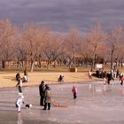 Strand in Neusiedl am See