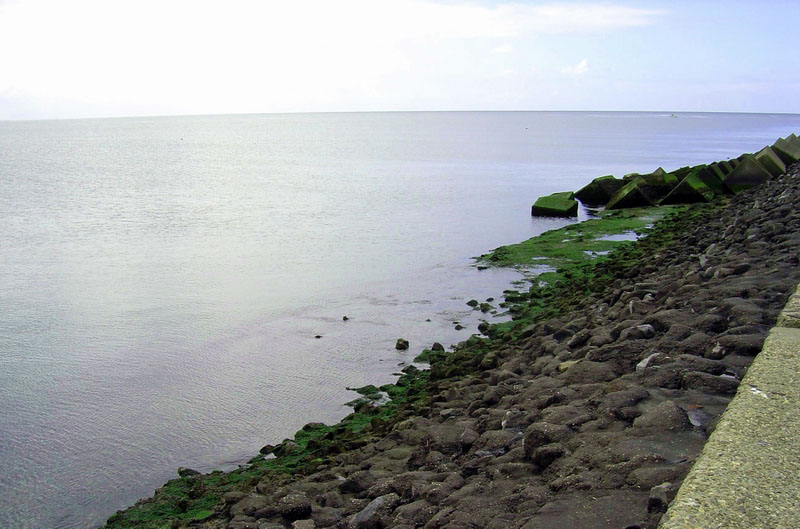 Strand in Nordholland