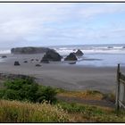 Strand in Oregon