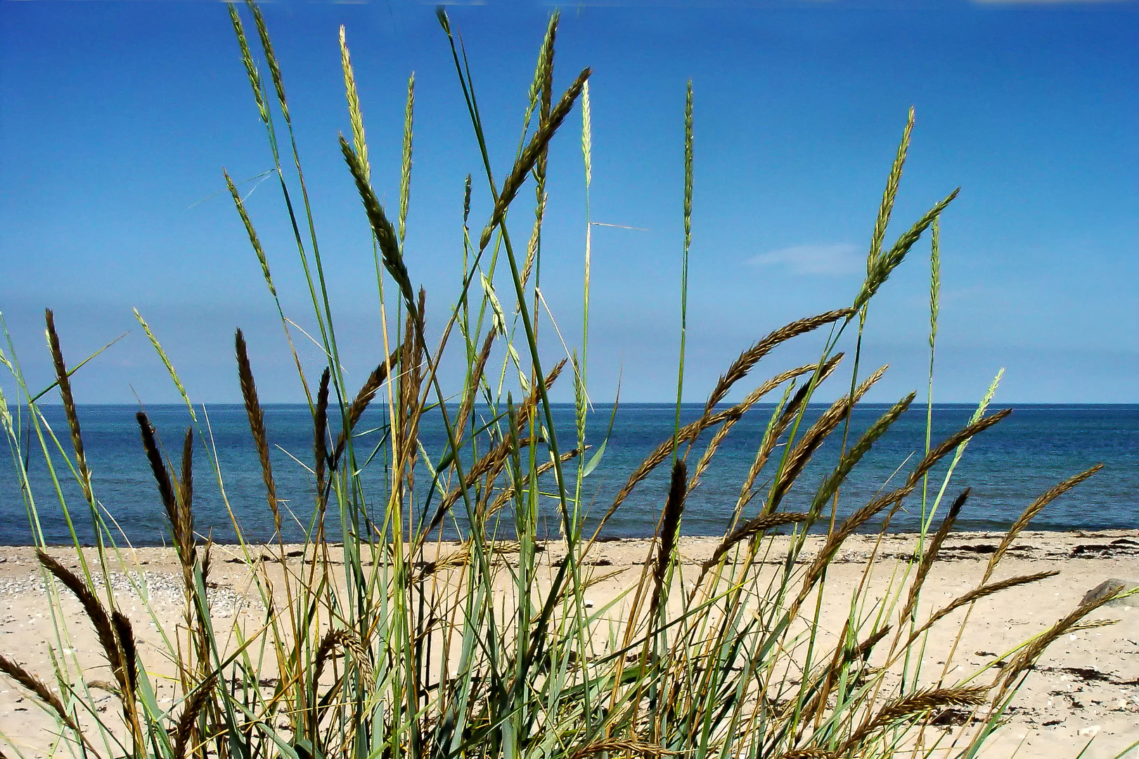 Strand in Rageleje auf Seeland