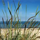 Strand in Rageleje auf Seeland