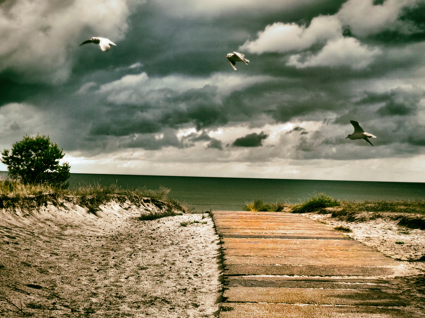 Strand in Rügen