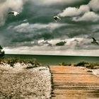 Strand in Rügen