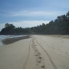 Strand in Sabang, Puerto Princesa, Philippinen