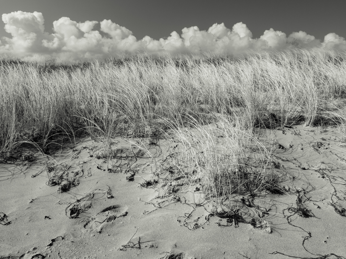 Strand in schwarz-weiß