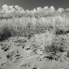 Strand in schwarz-weiß