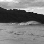 Strand in Te Araroa