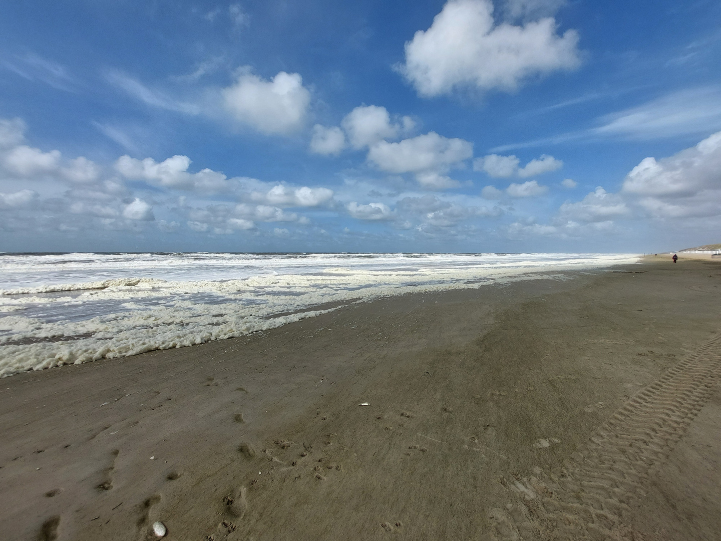 Strand in Texel