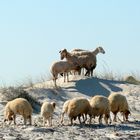 Strand in Tunesien