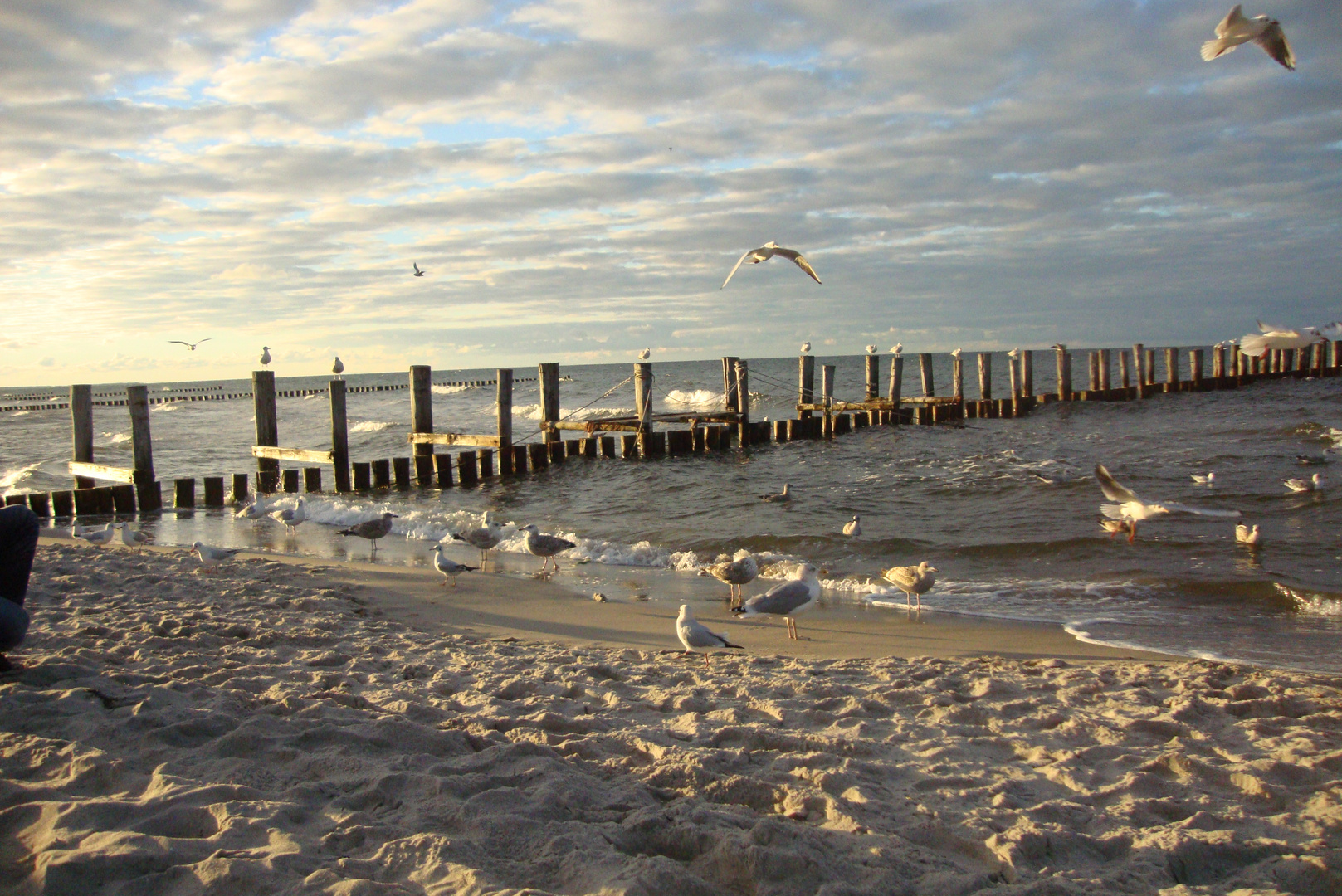 Strand in Zingst